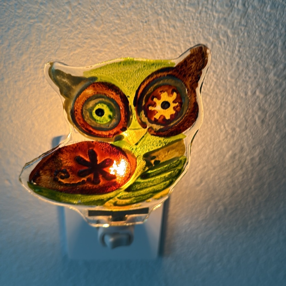 Vintage Handpainted Owl Nightlight! - Picture 1 of 4